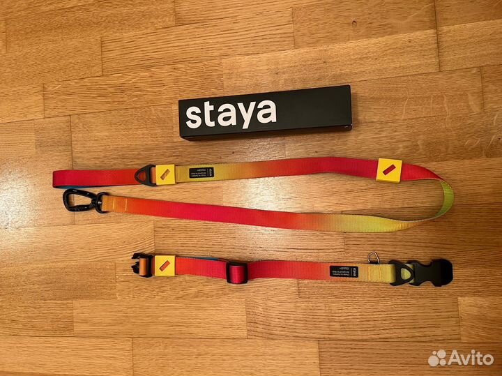 Ошейник и поводок staya