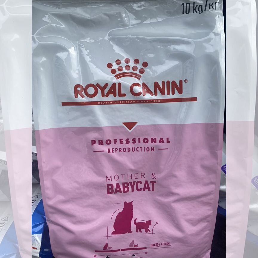 Корм для кошек royal canin Мазе Энд Бэбикэт 10 кг