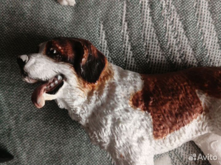 Модели животных