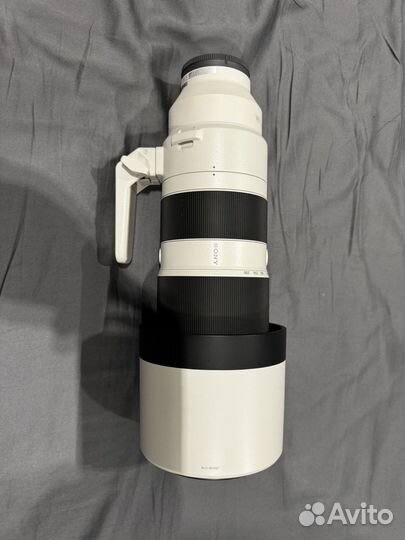 Sony fe 200-600 f5.6-6.3