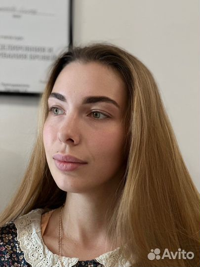 Мастер-бровист