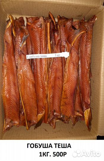 Горбуша кета