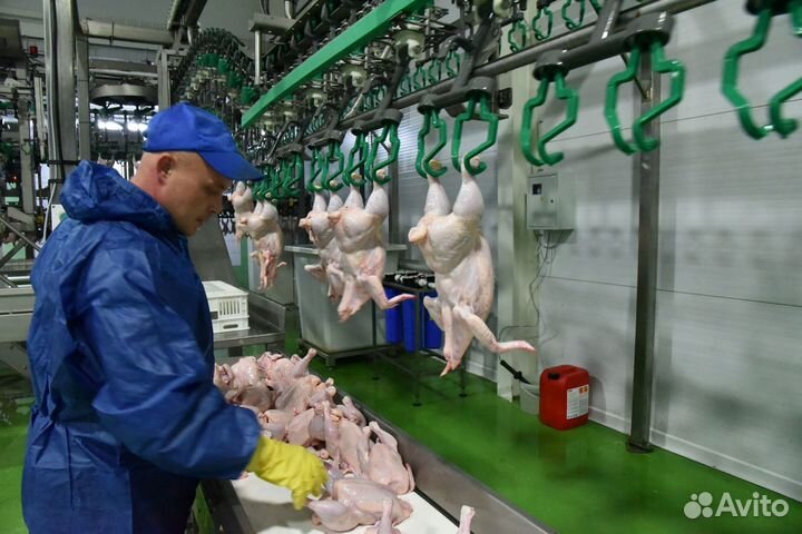 Вахта Разнорабочий на птицефабрике в вахте