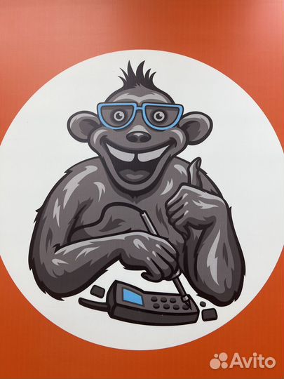 Продавец консультант мобильных аксессуаров