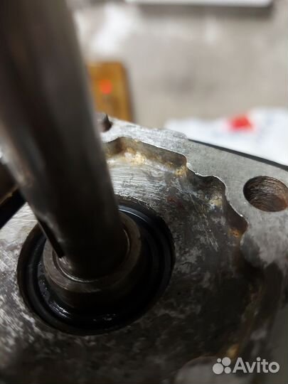 Лодочный мотор