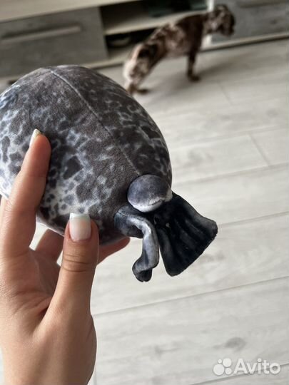 Игрушка антистрес морской котик