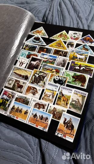 Альбом марок