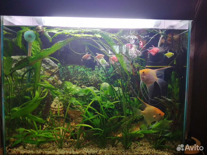 Аквариум 110 л