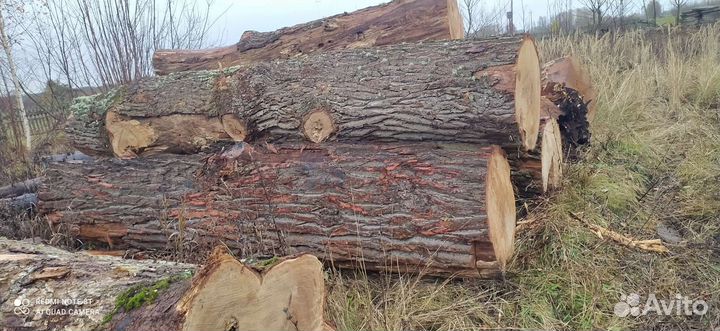 Дуб. Дубовые доски. Слэб