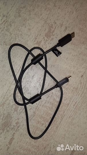 Тюльпаны провода