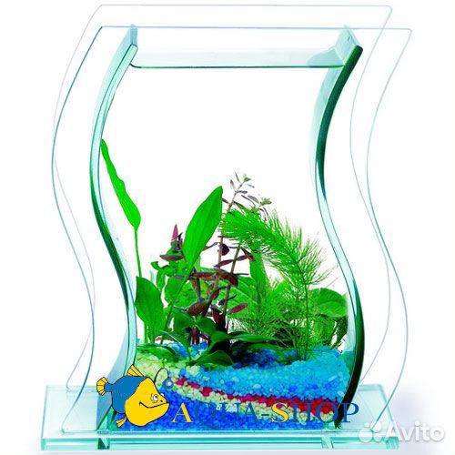 Акваваза Dance стеклянная 20х10х23см