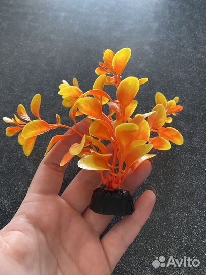 Мини аквариум