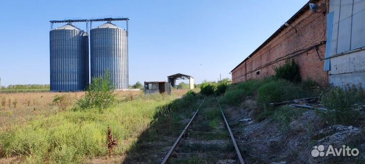 Производственная площадка, хранение, переработка