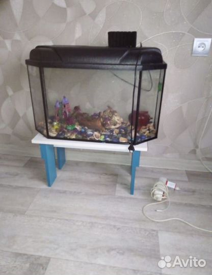 Аквариум