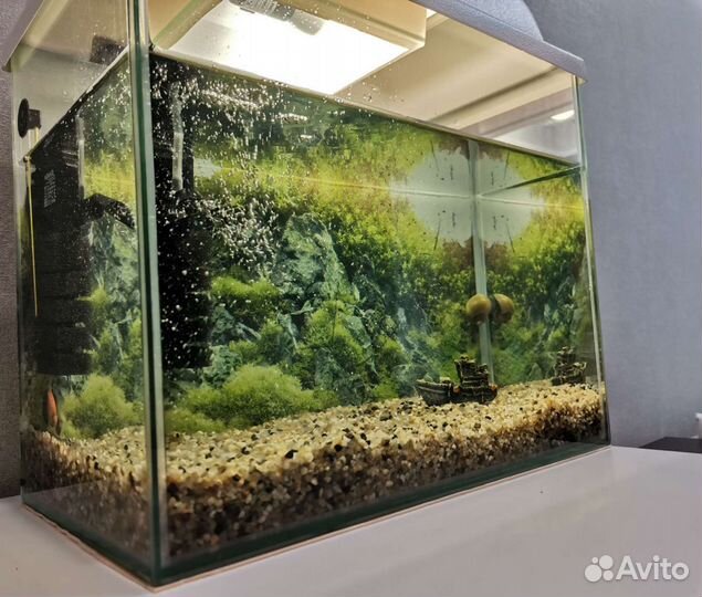 Аквариум