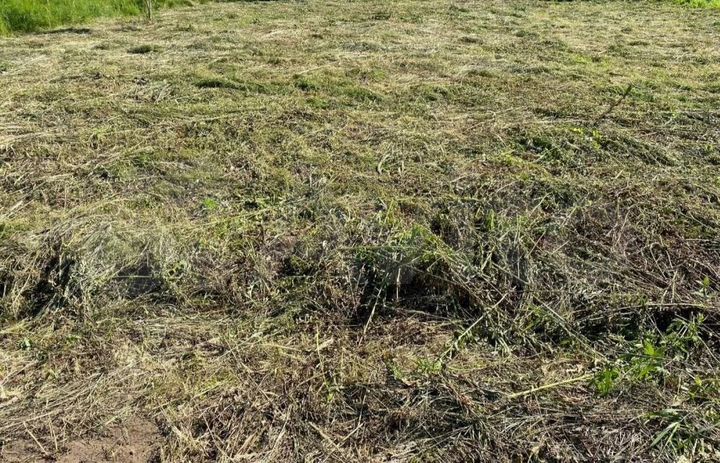 Участок 6 сот. (СНТ, ДНП)