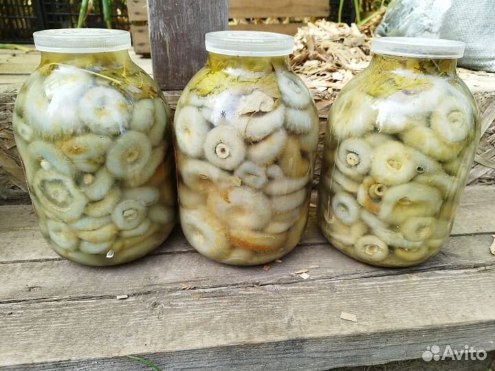Грузди соленые