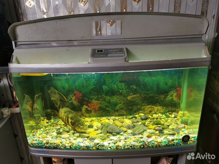 Аквариум