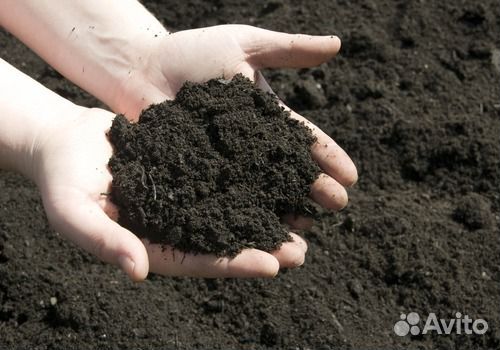 Чернозем, Сапропель, доставка