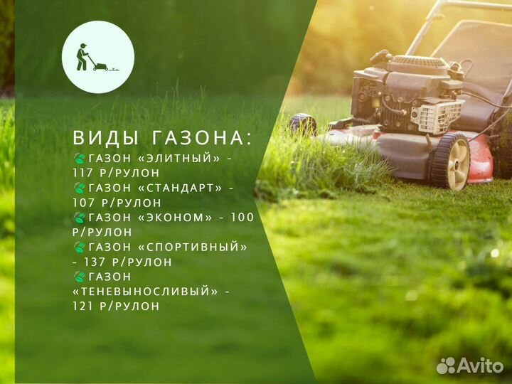 Рулонный газон, укладка, продажа