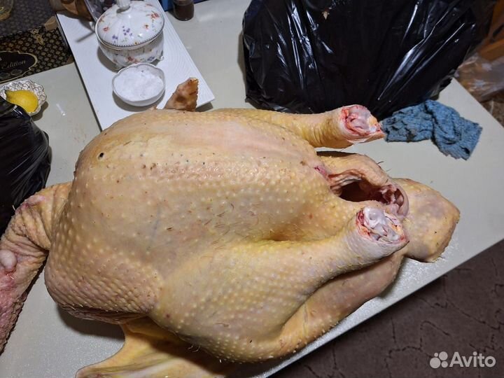 Мясо индюка