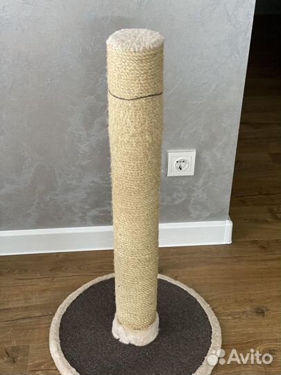 Когтеточка