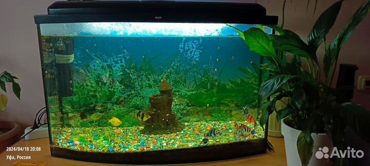 Аквариум с рыбками бу