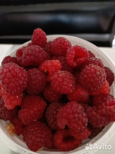 Ремонтантная малина