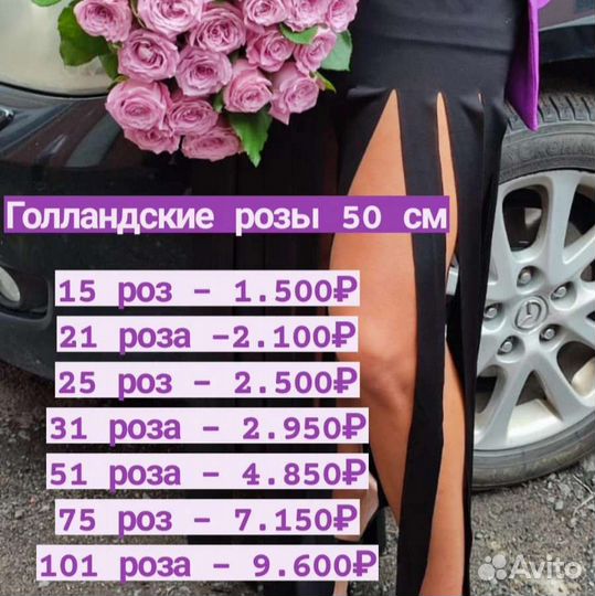 Сиреневые розы. Фиолетовые розы. Розы Голландия