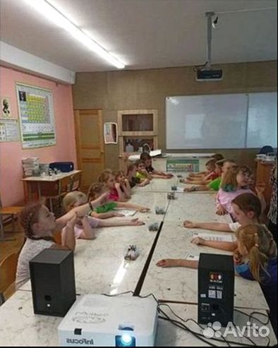 Готовый бизнес живые рисунки Защита экологии Океан