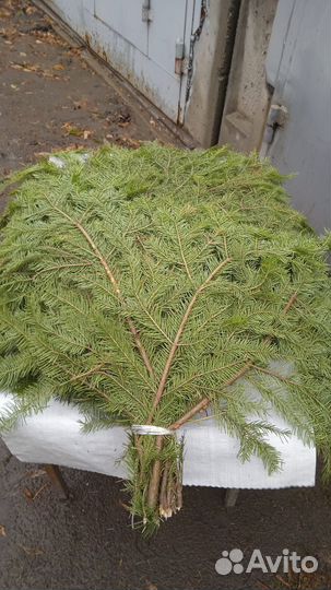 Новогодний букет