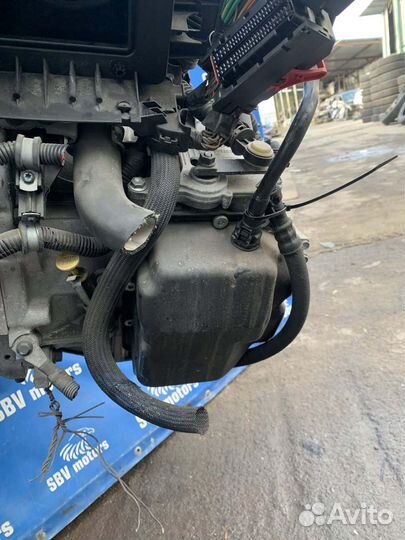 АКПП Volvo S40 MS38 B5244S 2006