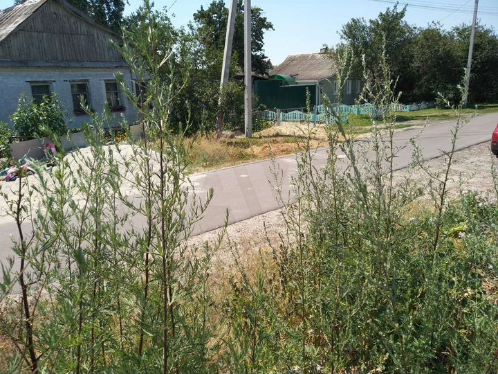 Участок 12 сот. (ИЖС)