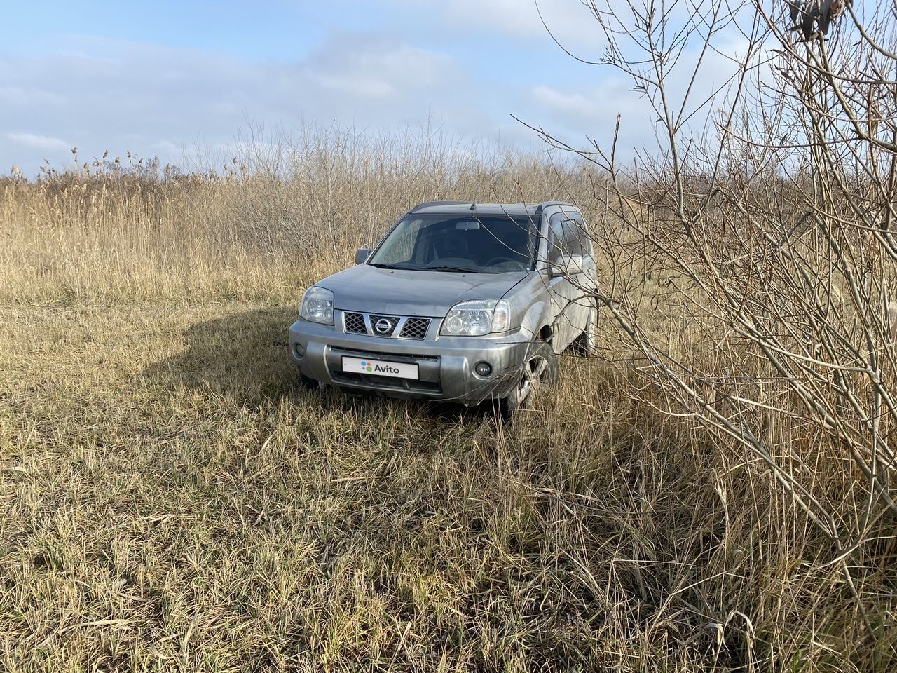 Nissan X-Trail: фото владельца