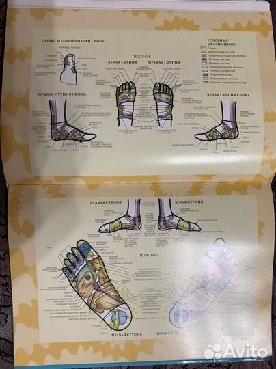 Энциклопедия массажа