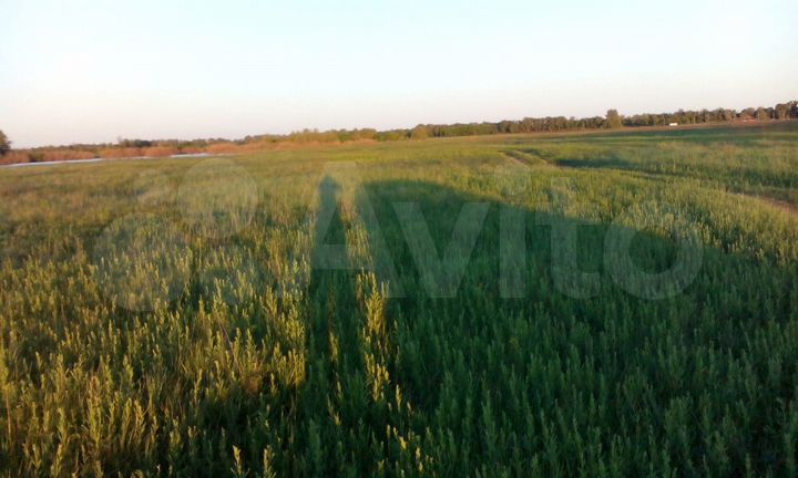 Участок 18 га (СНТ, ДНП)