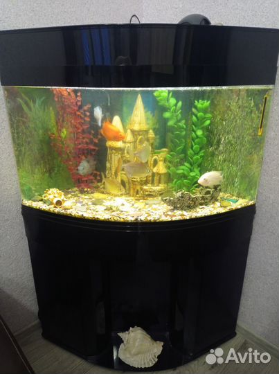 Украшения для аквариума