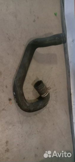 Патрубок радиатора нижний Ford Focus хэтчбэк qqdb