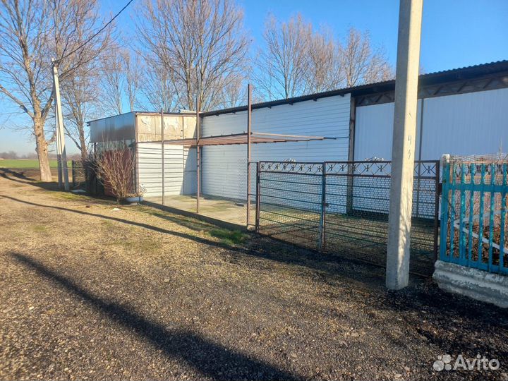 Стирка ковров