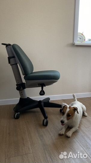 Ортопедическое кресло для школьника comf-pro