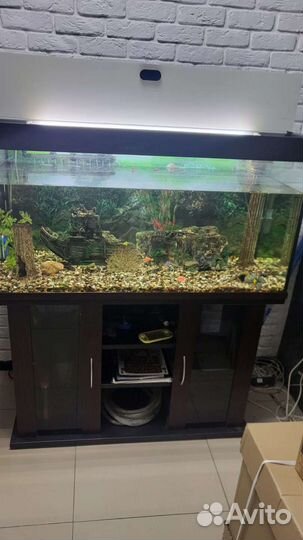 Аквариум с тумбой 300 литров