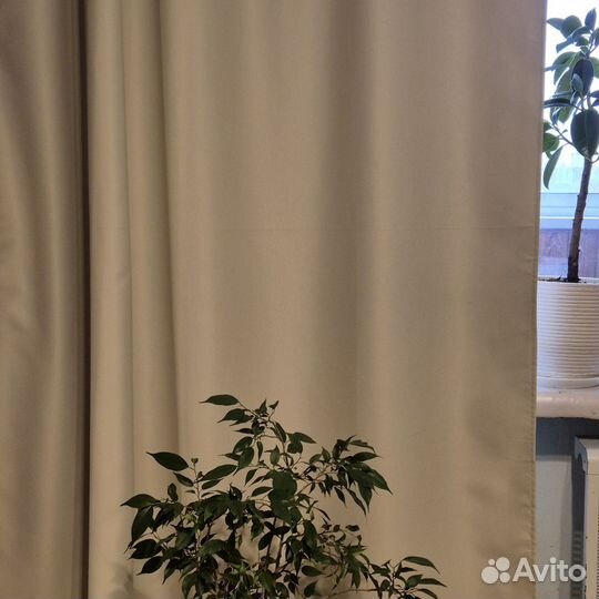 Шторы блэкаут