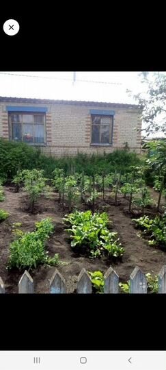 Дом 36 м² на участке 11 сот.