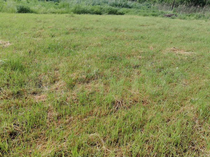 Дом 41,9 м² на участке 18,6 сот.