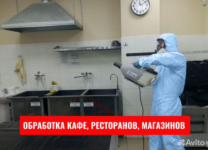 Уничтожение клопов, Травля тараканов, Дезинфекция