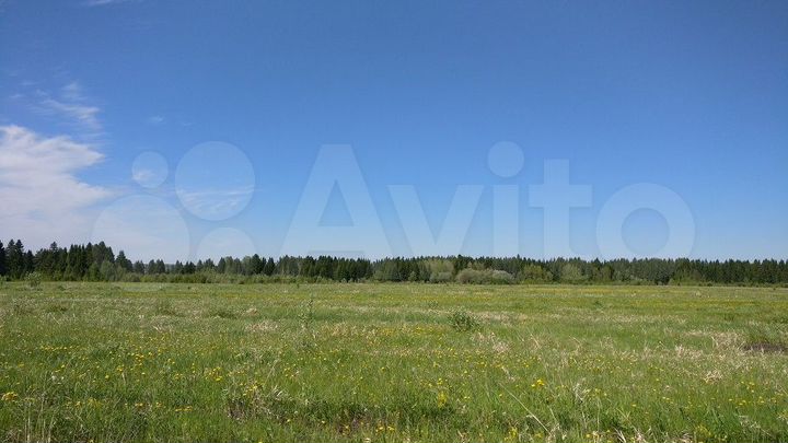 Участок 4,4 га (СНТ, ДНП)