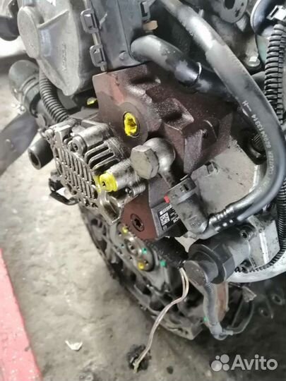 Тнвд меган2 M9R