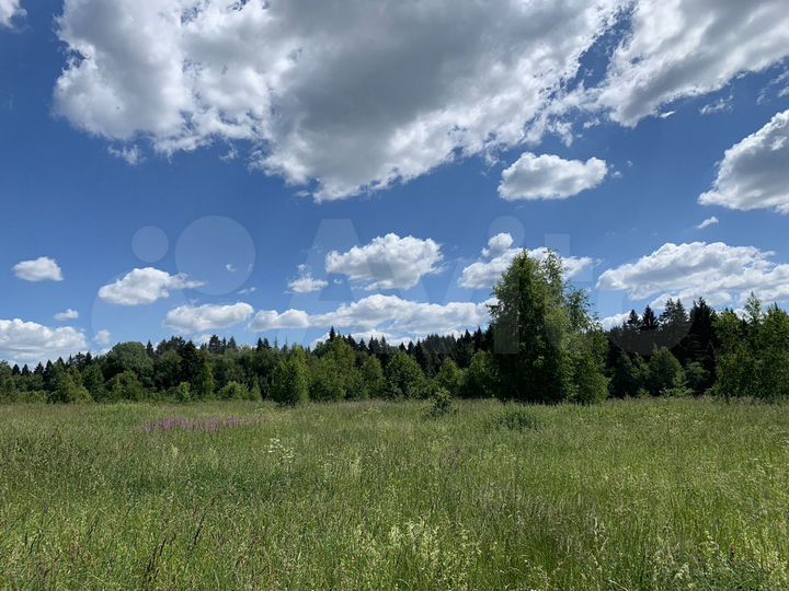 Участок 2 га (СНТ, ДНП)