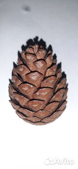 Шишка новогодняя лакированная