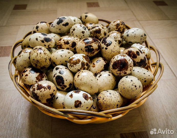 Мясо. Мясные субпродукты для собак